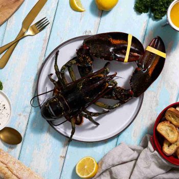BRAND, CATEGORY, LIVE LOBSTER, MAINE LOBSTER NOW, 2.5 lb Live Maine Lobster