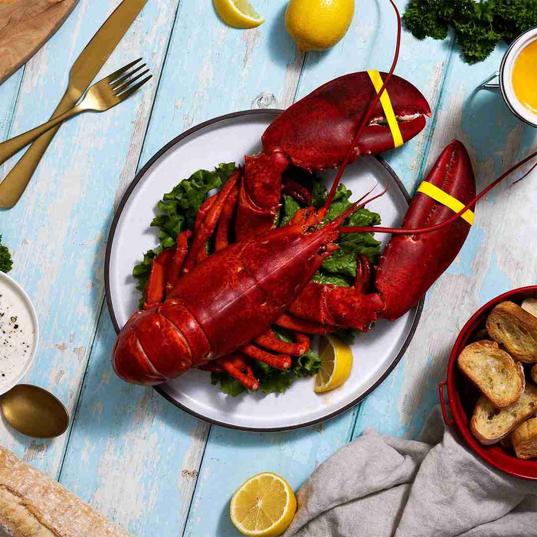 2.5 lb Live Maine Lobster