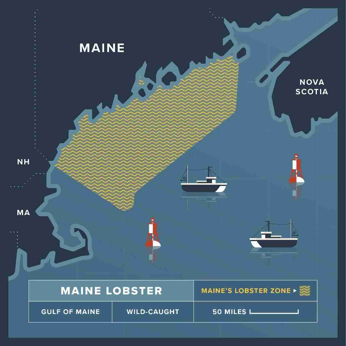 3-4 oz. Maine Lobster Tail Bulk Pack – 5 lbs