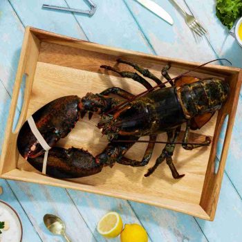 BRAND, CATEGORY, LIVE LOBSTER, MAINE LOBSTER NOW, 4 lb - 6 lb Live Canadian Lobster