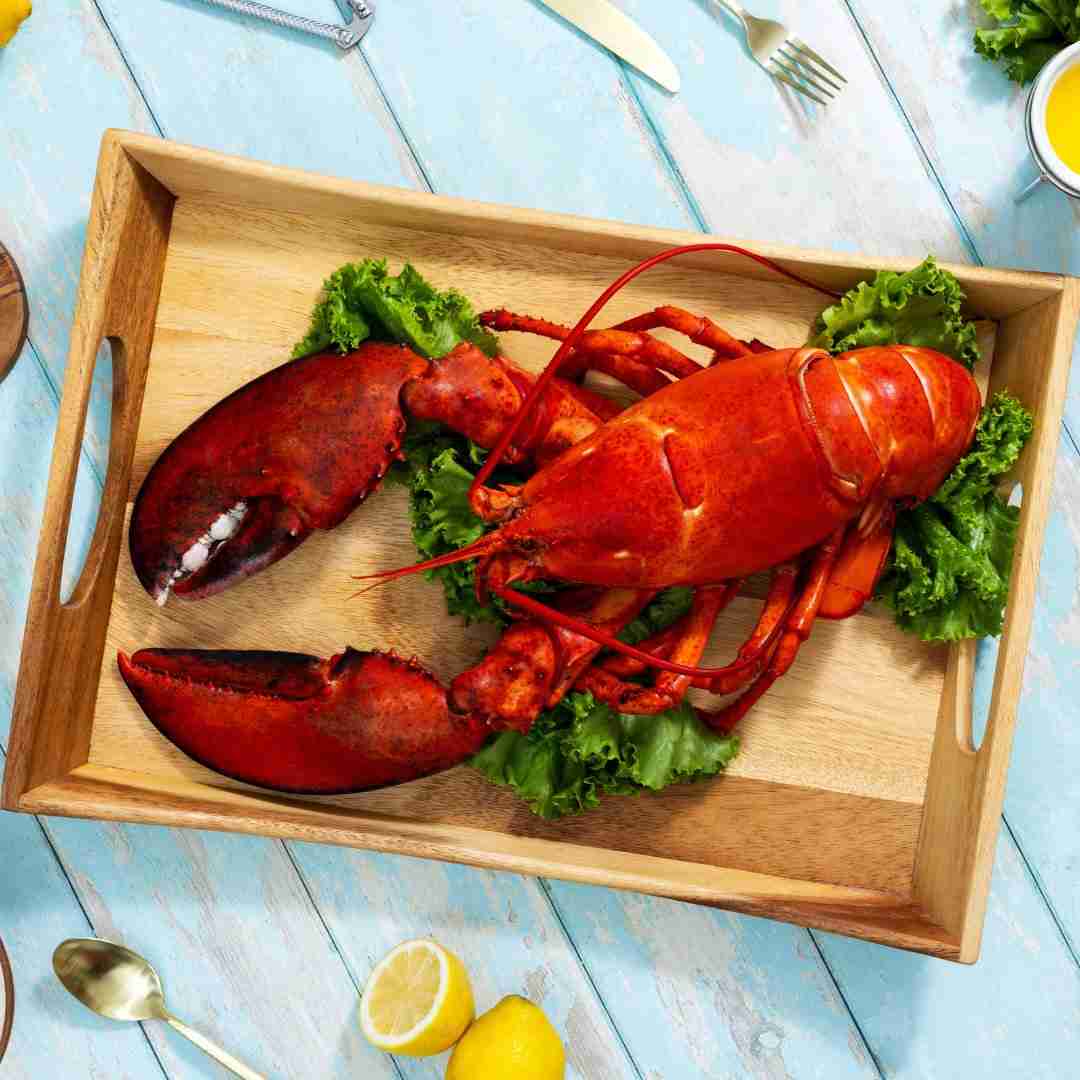 BRAND, CATEGORY, MAINE LOBSTER NOW, Live Lobster
