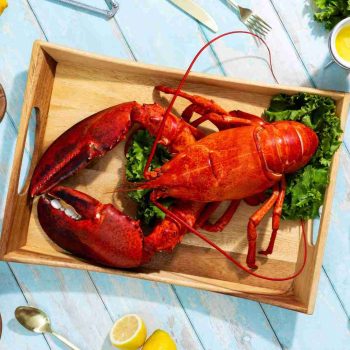 BRAND, CATEGORY, MAINE LOBSTER NOW, Live Lobster