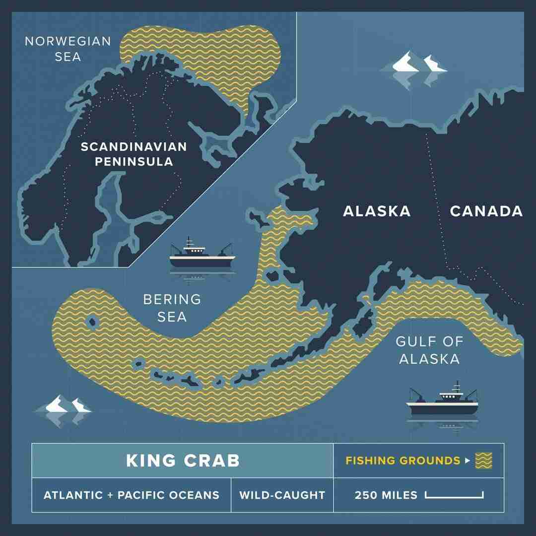 Giant Red King Crab Legs