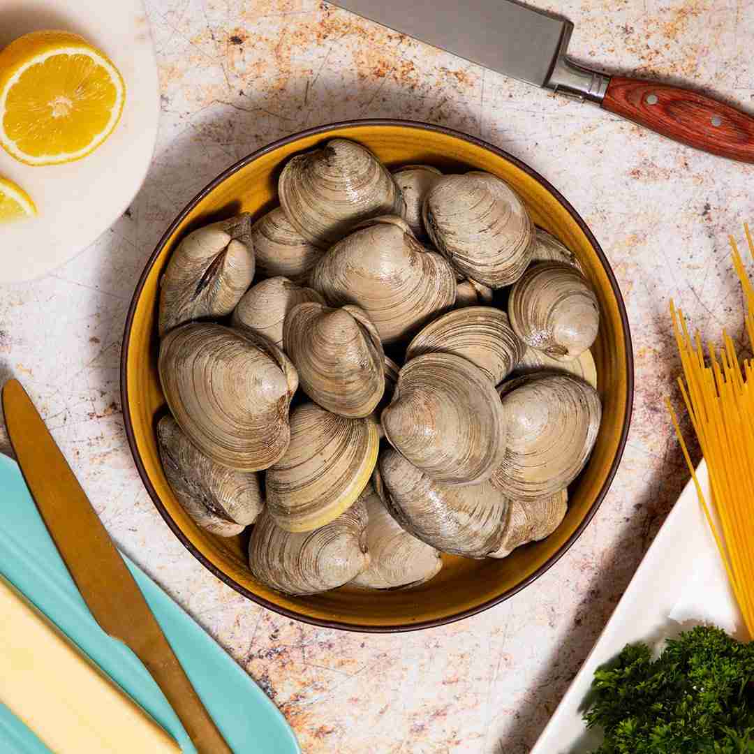 Maine Littleneck Clams – 12 Count