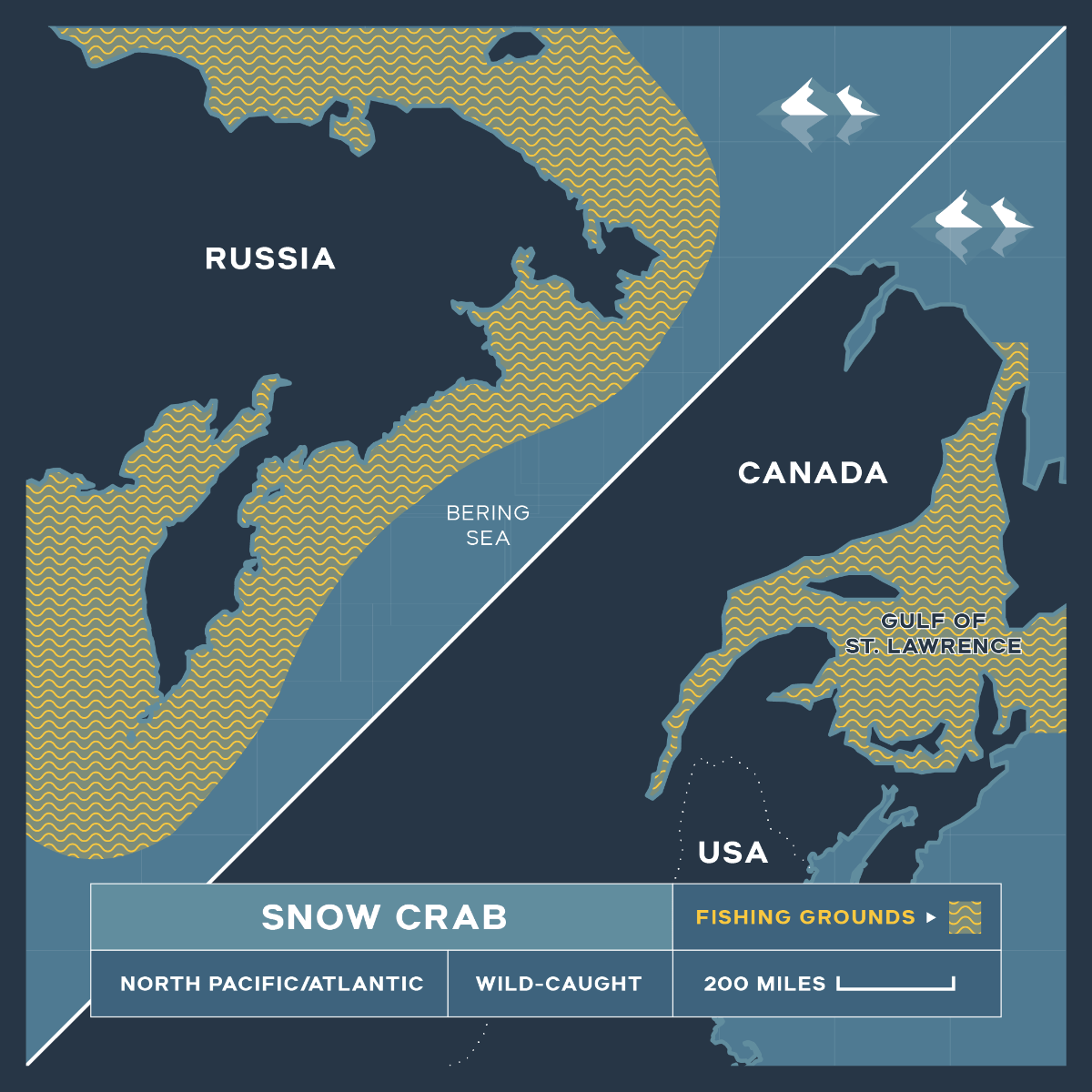 Snow Crab Leg Pieces – 1 lb