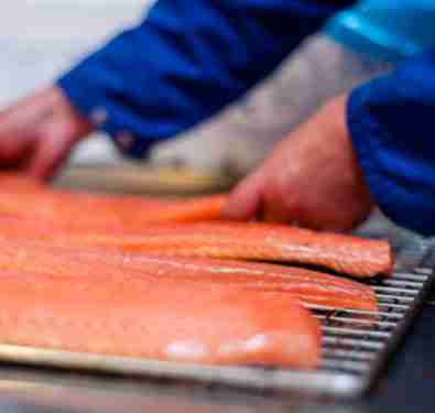 Wester Ross Atlantic Salmon – 8 oz. Portion